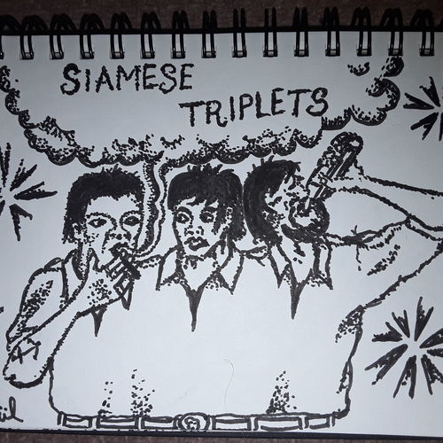 Siamese triplets 