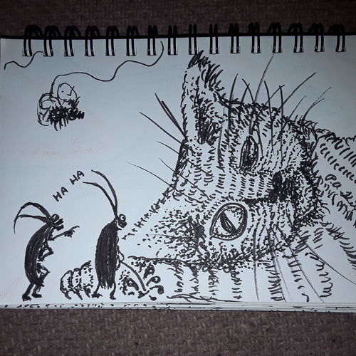 Sleepy cat