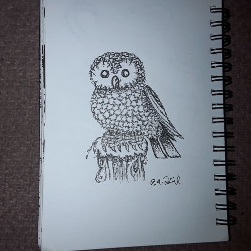Owl