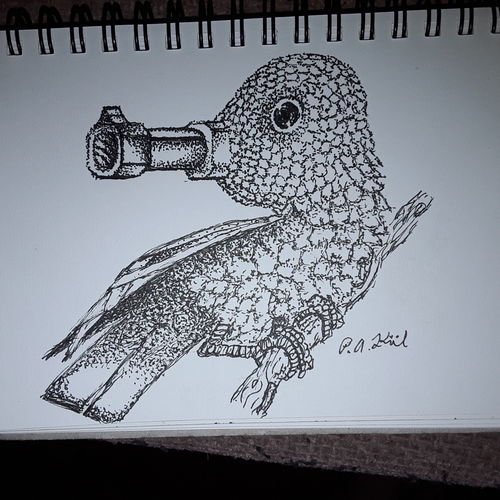 Luger bird