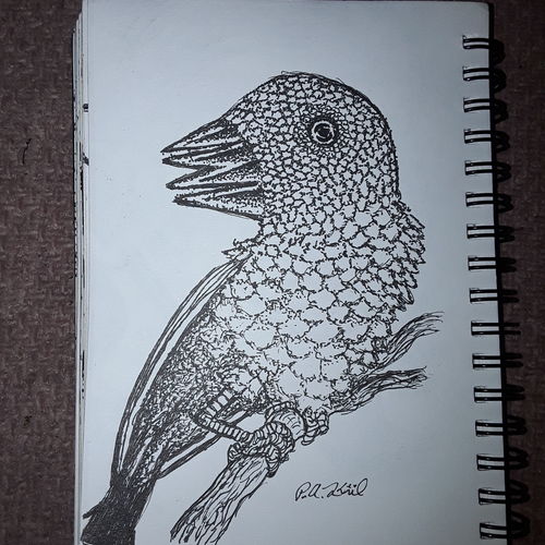 Double beaked 