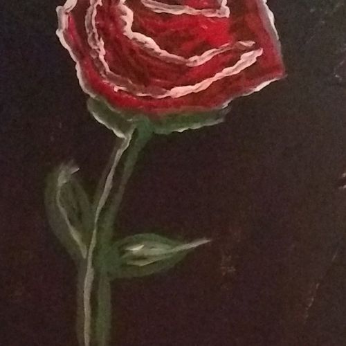 Midnight Rose