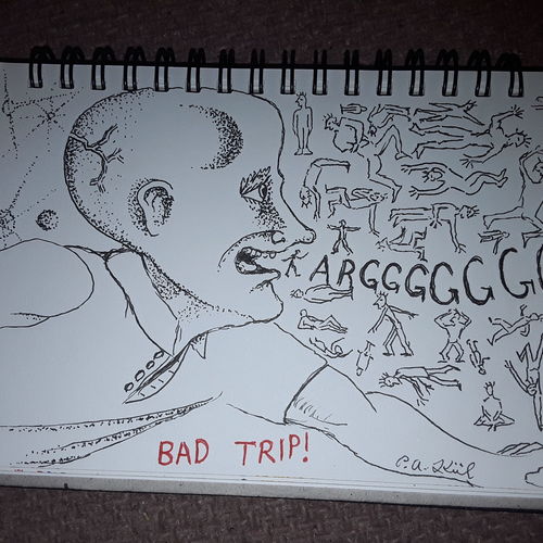 Bad trip