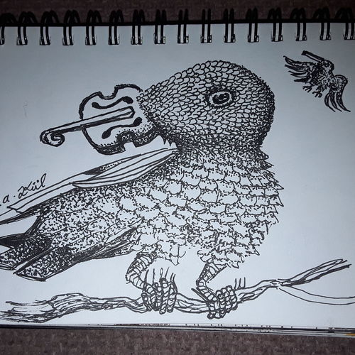 Fiddle bird