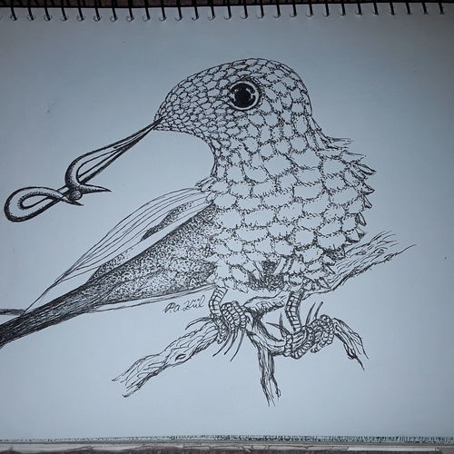 Tricky beak