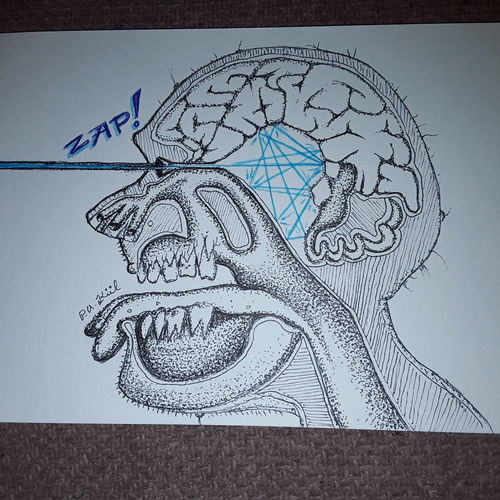 Zapped 