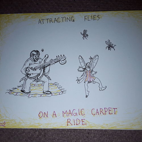 Attracting flies 