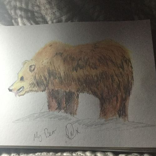 Bear