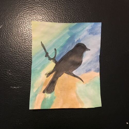 Robin