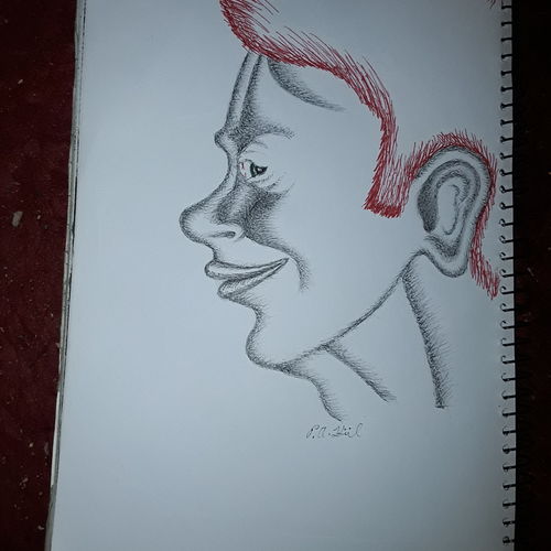 Redhead 