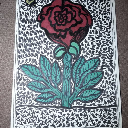 Rose