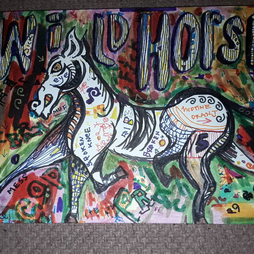 Wild horse 