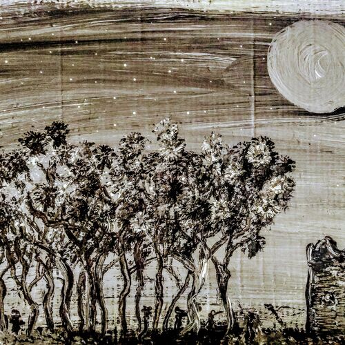 NightField