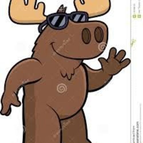 Moose
