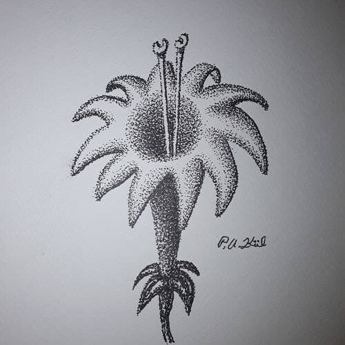 Yet another flower 