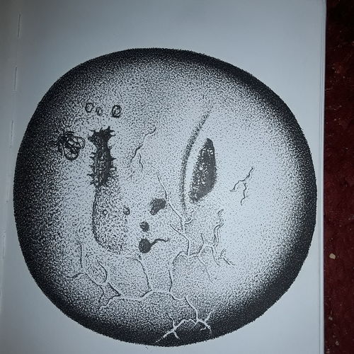 Rotten orb