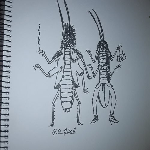 Punk bugs 