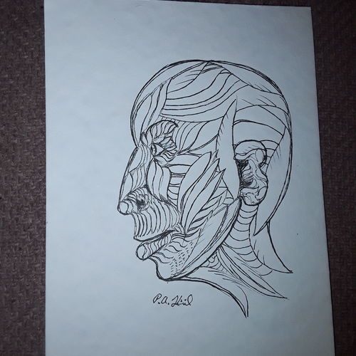 Feathered face