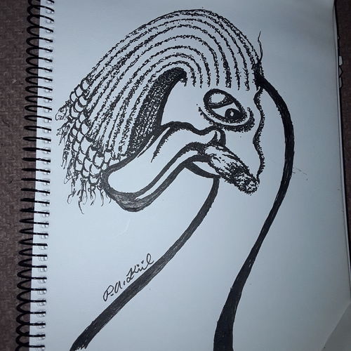 Rasta duck
