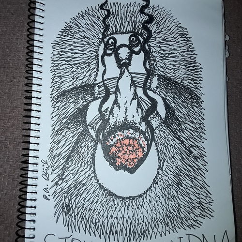 Stoner echidna