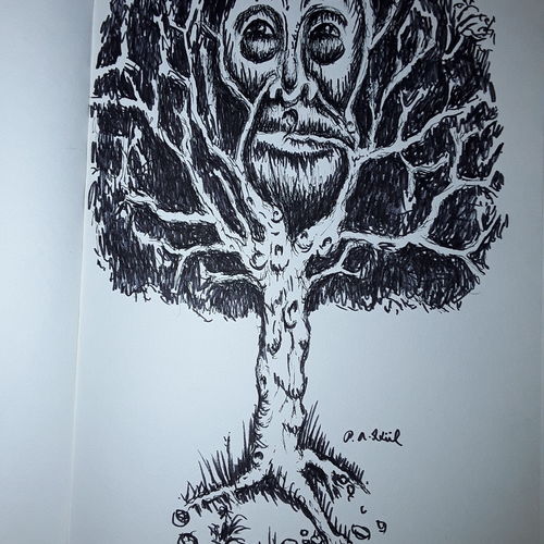 Man in tree