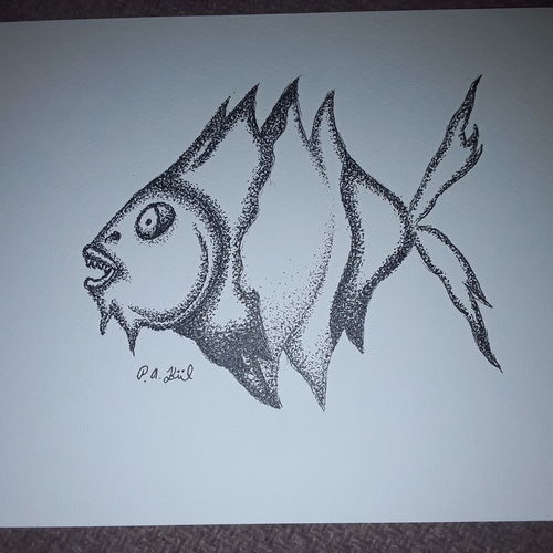 Fish 