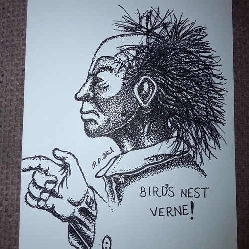 Bird&#039;s nest Verne