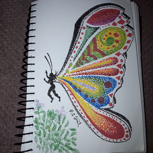 Butterfly 