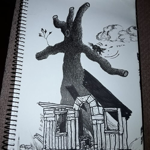 Tree in house 