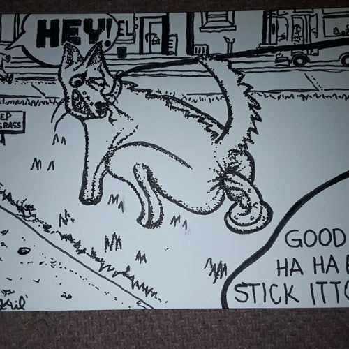 Teaching a new dog an old trick 
