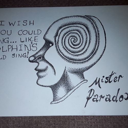 Mr Paradox 