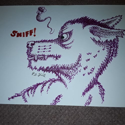 Fly bothered dog