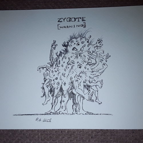 Zygote 