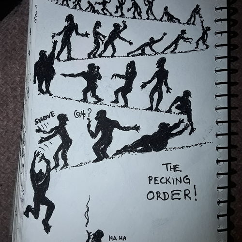 The pecking order 