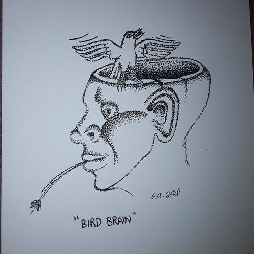 Bird brain 