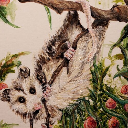 Marsupious