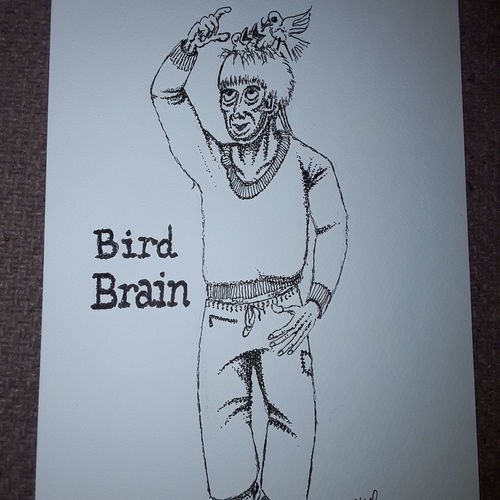 Bird brain 