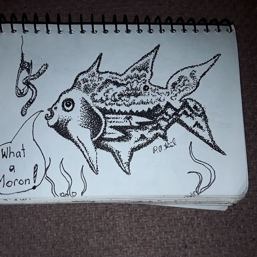 Scenic fish