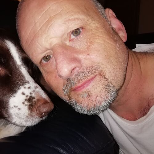Andy Davies
