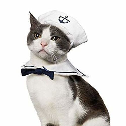 CAPTAIN SPIFFY
