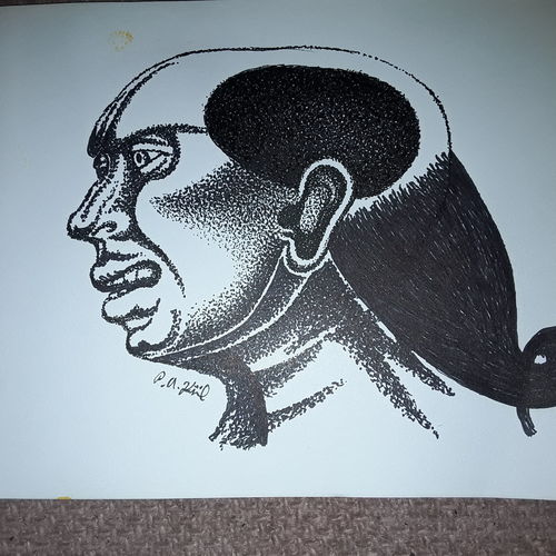 Ponytail dude 