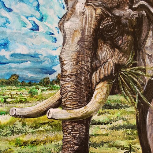Mellowphant