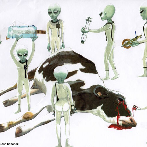 Group of Greys