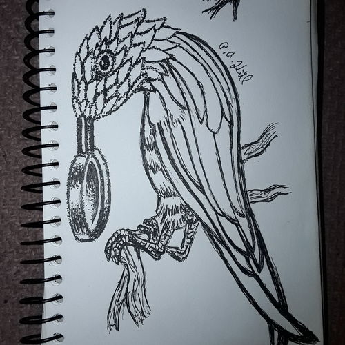 Magnifying Bird 