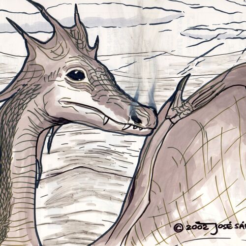 Baby Dragon