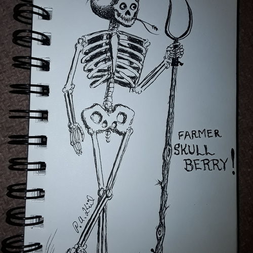 Skeleton 