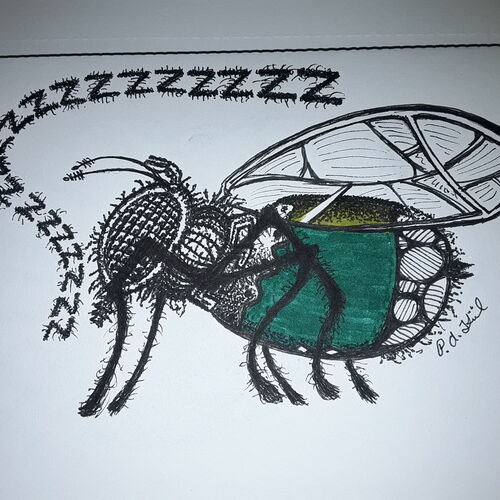Fly 