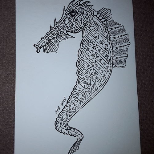 Seahorse 