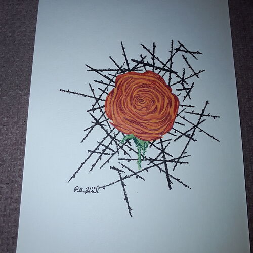 Rose among thorns 