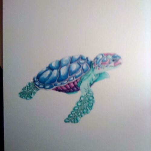 Turtle